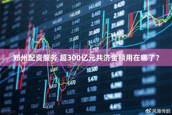 郑州配资服务 超300亿元共济金额用在哪了？