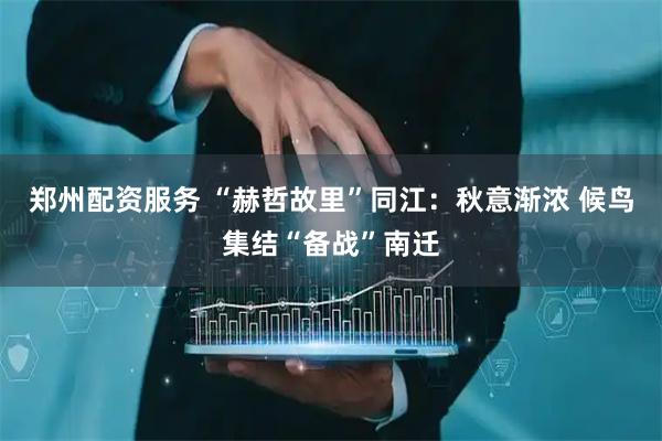 郑州配资服务 “赫哲故里”同江：秋意渐浓 候鸟集结“备战”南迁